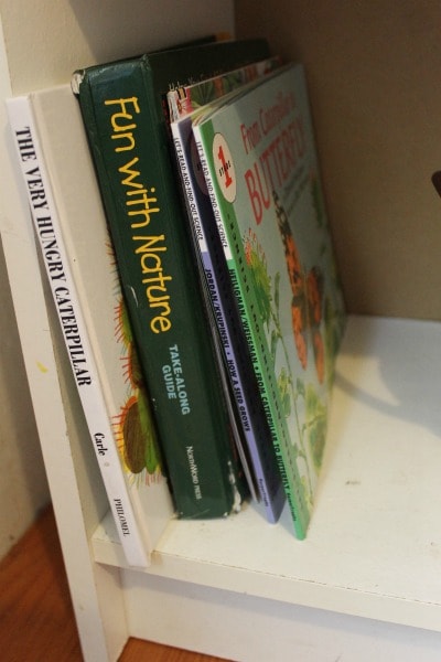 DIY science shelf books