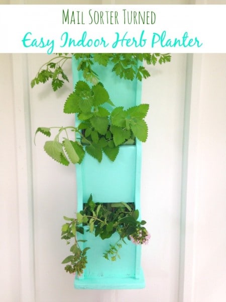 Easy Indoor Herb Planter
