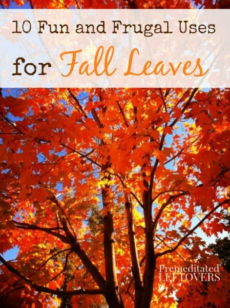 10 Fun and Frugal Uses for Fall Leaves - Not all of your fall leaves need to end up in a leaf bag, save some for these 10 creative uses for fall leaves.