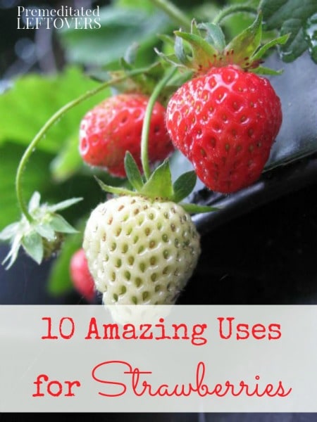 10 Ways to Use Strawberries Before They Go Bad - These uses for strawberries are fun and easy, and a great way to use up strawberries before they go bad.