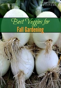 The best vegetables to grow in our gardens this fall and a list of vegetables that you can grow from seed in your fall garden and which vegetables should be started from transplants.