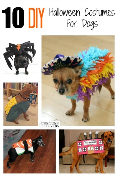Don't forget your pup this Halloween! Here are 10 awesome, funny and easy DIY Halloween Costumes for Dogs that are sure to get your dog lots of attention!