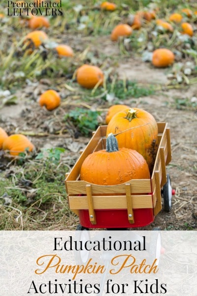 7 Educational Pumpkin Patch Activities for Kids