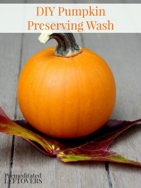 DIY Pumpkin Preserving Wash - Make your Jack o'Lanterns last longer with this pumpkin preserving wash and other tips for preserving carved pumpkins.