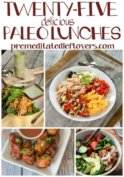 25 Paleo Lunch Recipes - Enjoy these tasty paleo lunch recipe ideas.  Using vegetables, beans and lean meats in new ways will stretch your lunch options while following a paleo diet.