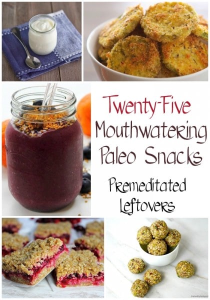 25 Paleo Snack Recipes - These delicious paleo snacks are full of healthy lean protein, great nutrients, vitamins and lots of vegetables and fruits.
