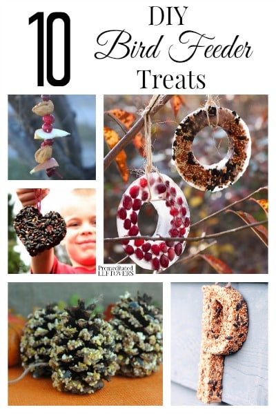 10 DIY Bird Feeder Treats- Bird watching in the winter is a fun thing to do for the young and old alike. These bird feeder treats will draw a great crowd!
