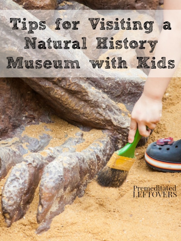 Tips for Visiting a Natural History Museum with Kids - Try these tips for taking your kids to natural history museum for a fun and educational experience.
