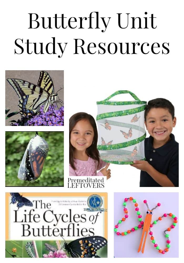 Butterfly Unit Study Resources including tools to teach about butterflies, books about butterflies, butterfly lap-books and online butterfly resources.