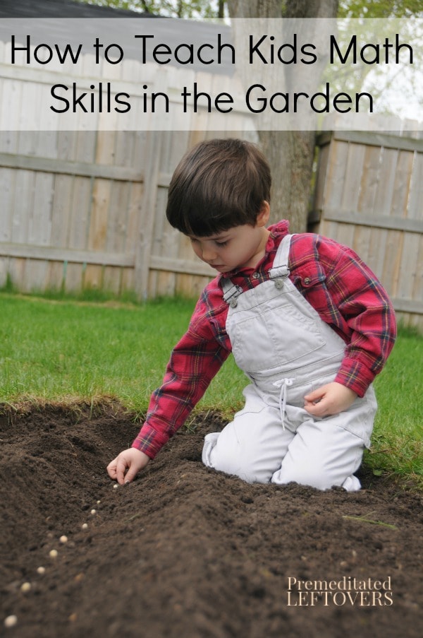 You can't grow a garden without doing math, so why not make a math lesson of it! Here are some tips for How to Teach Kids Math Skills in the Garden.
