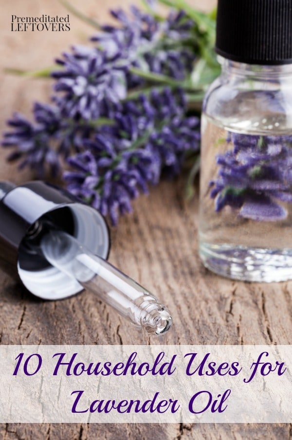 Here are 10 Household Uses for Lavender Oil for health, beauty, and cleaning, including headache relief, homemade insect repellent, and more.