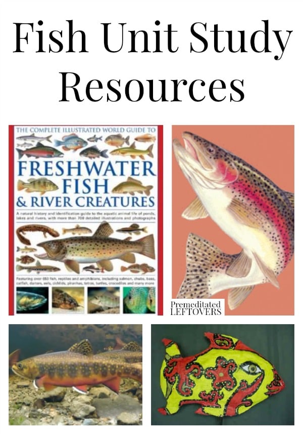 Fish Unit Study Resources including educational fish videos, fish unit study lapbooks and printables, fish craft projects, and more fish unit study ideas.