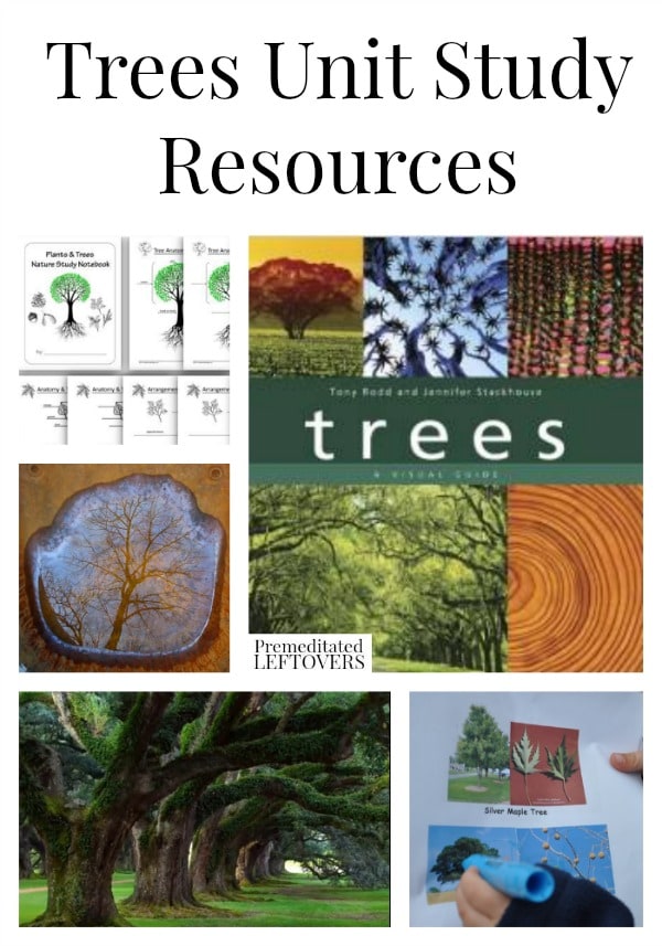 Tree Unit Study Resources, including educational tree videos, books about trees, tree identification projects, and other tree unit study ideas.