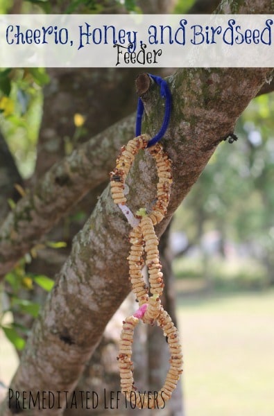 How to Make a Cheerio Bird Feeder - Here is a tutorial for putting together a simple cheerio bird feeder with your kids to attract birds to your backyard.