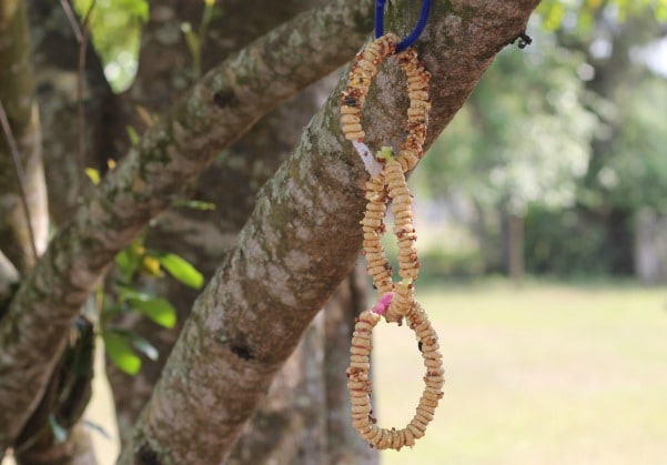 How to Make a Cheerio Bird Feeder