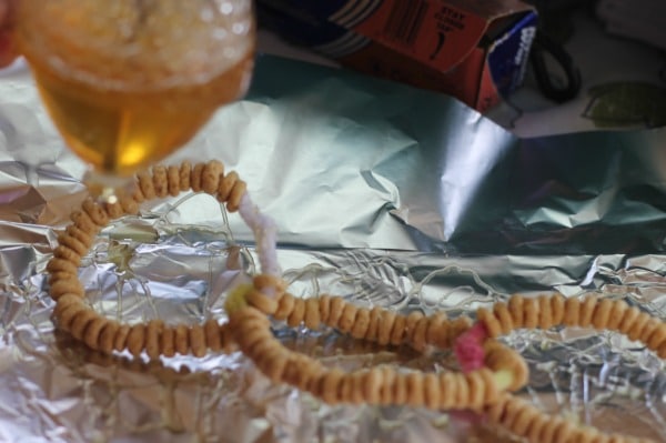 Cheerio bird feeder - drizzle honey on Cheerio rings