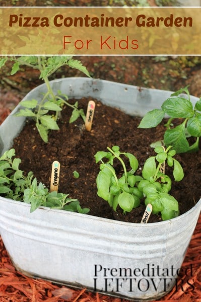 How to Grow a Pizza Garden with Kids - Growing a garden of pizza ingredients is a great way to get kids excited about gardening.