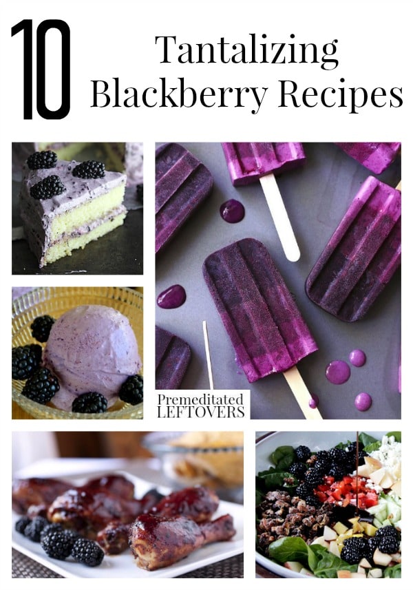 10 Tantalizing Blackberry Recipes including blackberry smoothie recipes, blackberry BBQ sauce, blackberry desserts, and tips on how to freeze blackberries.