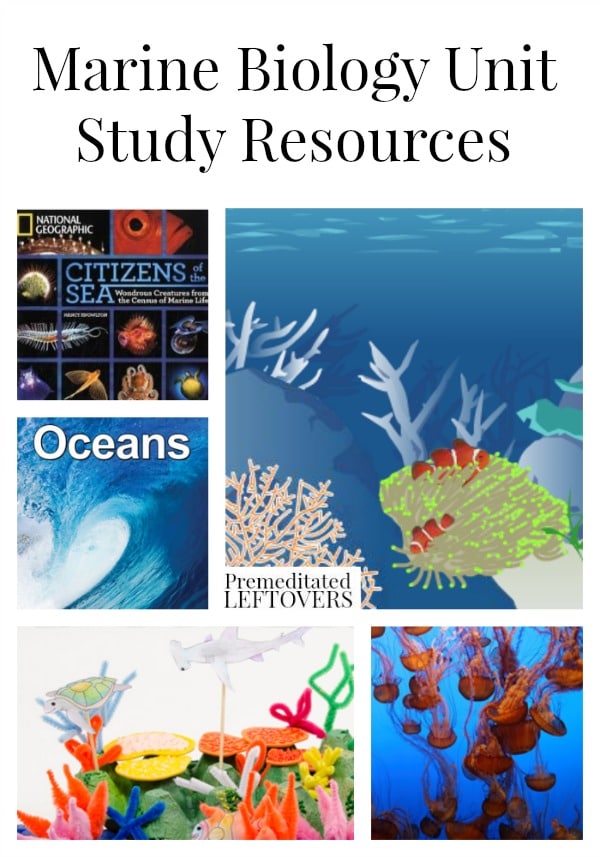 Marine Biology Unit Study Resources, including marine biology lesson plan ideas, ocean unit study ideas, and educational resources for marine biology.
