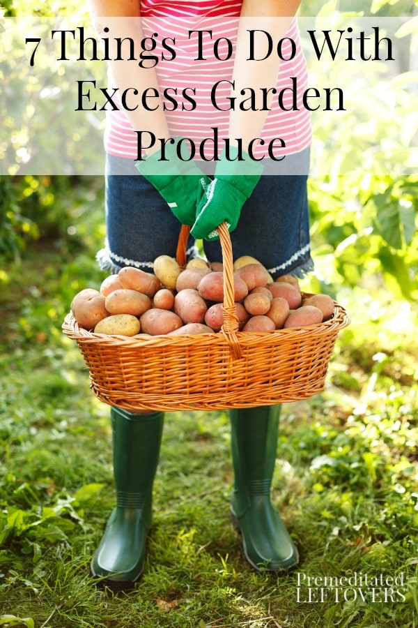 7 Things To Do With Excess Garden Produce - Here are some tips on how to use (or give away) your excess garden produce so it does not go to waste.