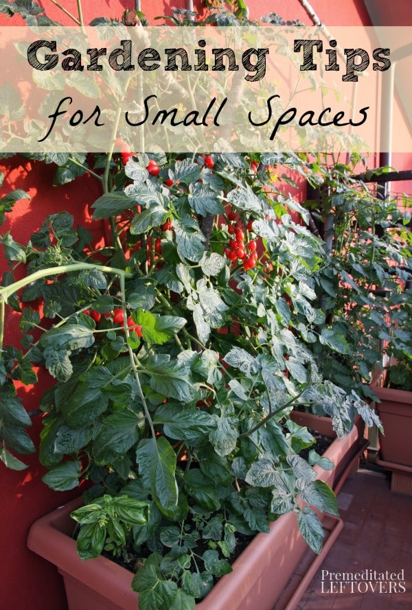 Gardening Tips for Small Spaces - Here are some tips for growing gardens in small spaces, such as patios, balconies, and very small backyards.