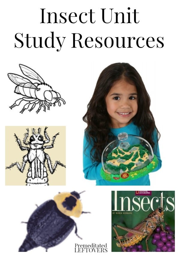 Insect Unit Study Resources, including educational insect videos for kids, insect printables, insect lesson plans and insect books and kits.
