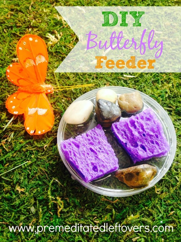 DIY Butterfly Feeder - How to make a DIY butterfly feeder using water, sugar, and a few other household items and attract butterflies to your garden.