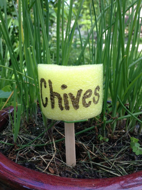 chives pool noodle garden markers