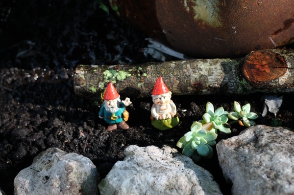 gnome garden activity outside