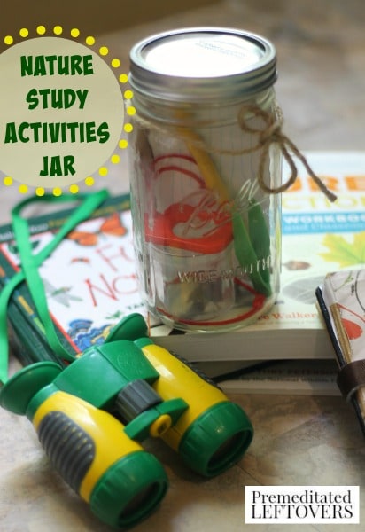 Nature Activity Jar - This nature activity jar filled with items for nature study and exploration is the perfect addition to an afternoon outdoors.