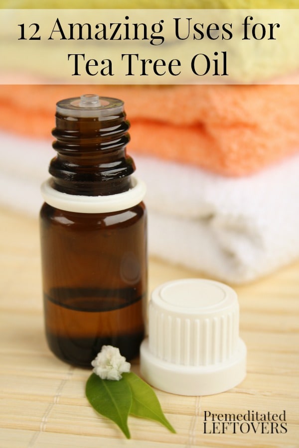 12 Amazing Uses for Tea Tree Oil - Uses for tea tree oil in natural health remedies, homemade cleaning products, and homemade beauty products.