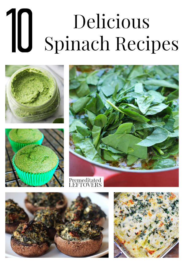 10 Delicious Spinach Recipes- These spinach recipes include everything from kid-friendly muffins to hearty lasagna. There is also a tip for storing spinach.
