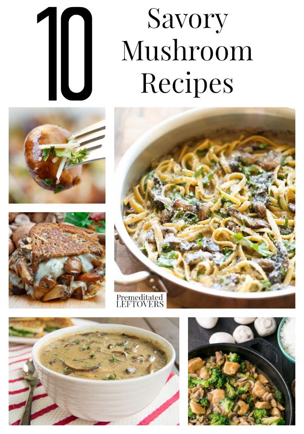10 Savory Mushroom Recipes- You will find a lot of delicious ways to use mushrooms with these savory recipes. Also, learn how to store and freeze mushrooms. 