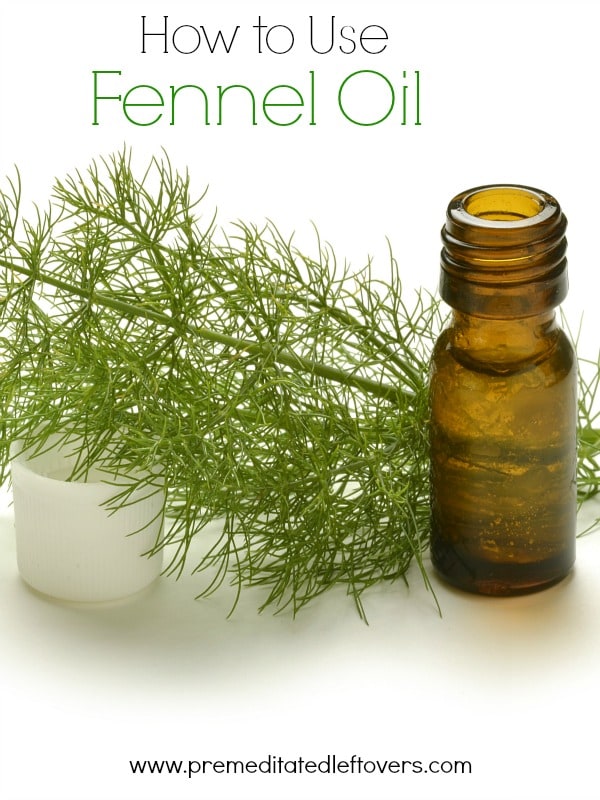 How to Use Fennel Oil- Learn how to make your own fennel oil. Once you have this oil on hand, you can enjoy its health benefits or use it in recipes. 
