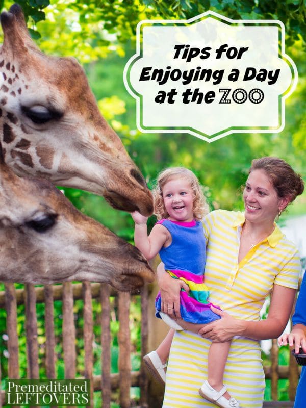 Tips for Enjoying a Day at the Zoo