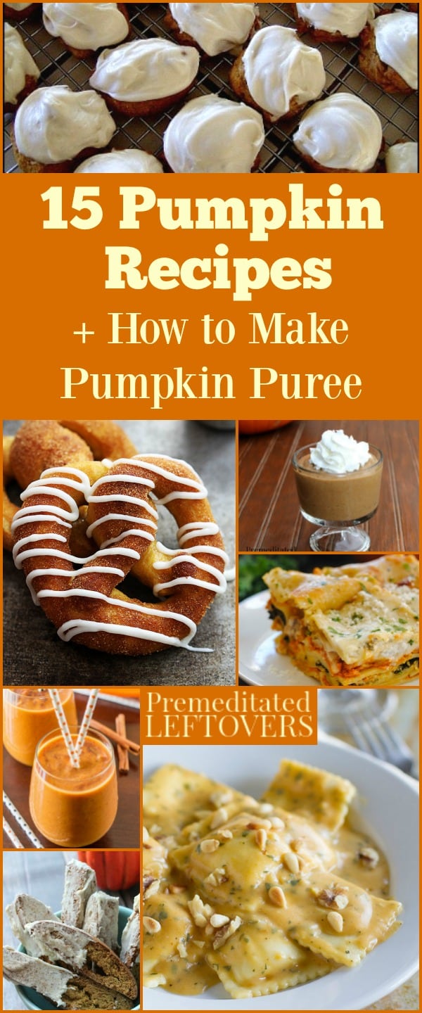 These pumpkin recipes include everything from breakfast to dessert, plus instruction on how to make pumpkin puree at home.