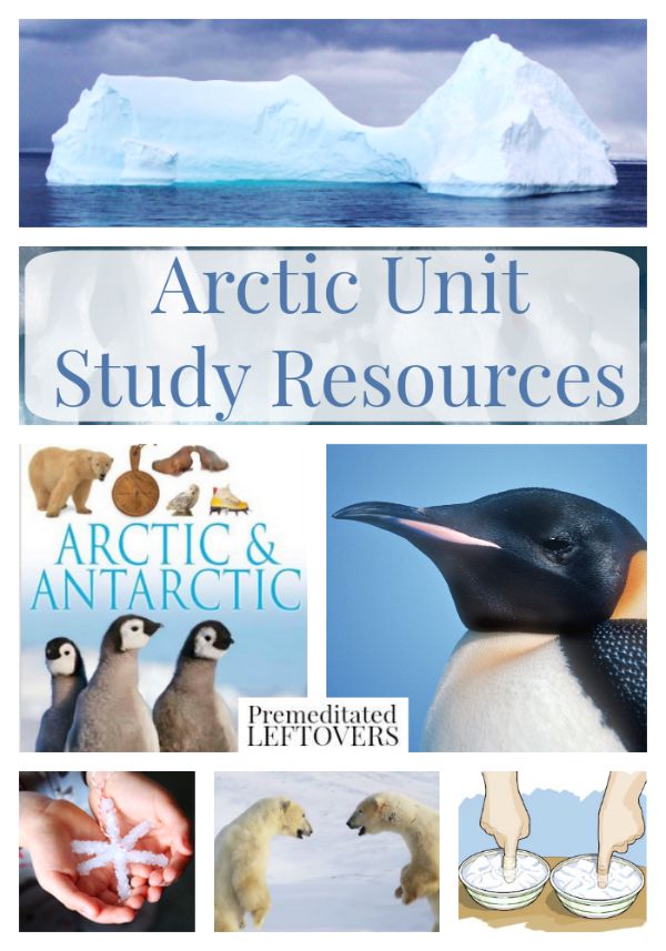Arctic Unit Study Resources- These resources include learning materials on the Arctic and Inuit people. You will find educational videos, crafts, and more