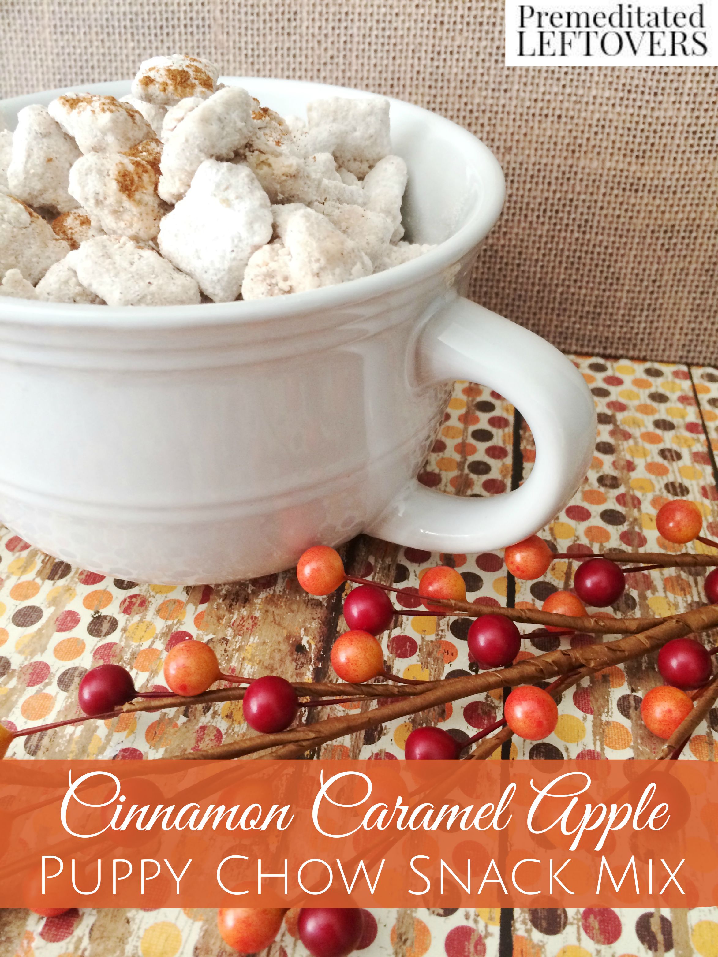 Cinnamon Caramel Apple Puppy Chow Snack Mix Recipe - Enjoy the flavors of cinnamon and caramel apple in this crunchy muddy buddy recipe. Tasty fall snack!