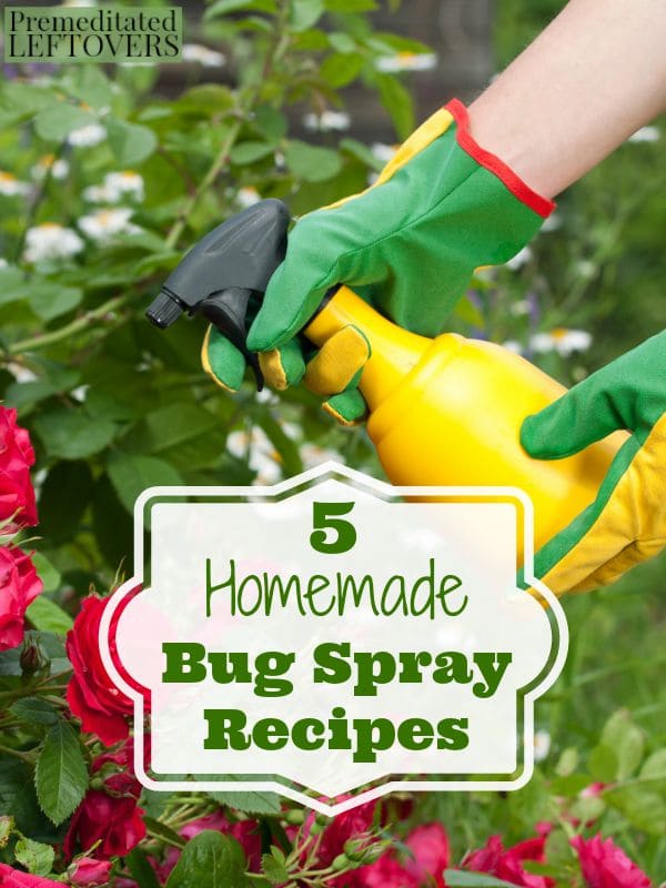 5 Homemade Bug Spray Recipes- Don't let bugs destroy your garden! These DIY sprays will eliminate pests for a fraction of the cost of store-bought products.