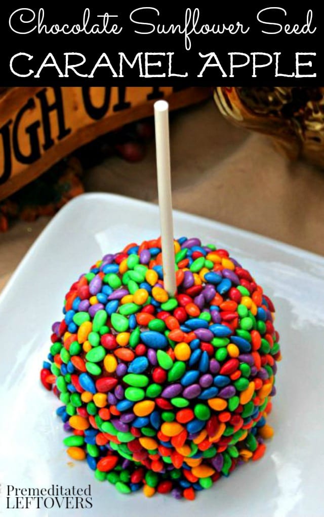 Chocolate Sunflower Seed Caramel Apples Recipe- These upscale caramel apples are not only yummy, but a fun and colorful treat to serve at fall parties.