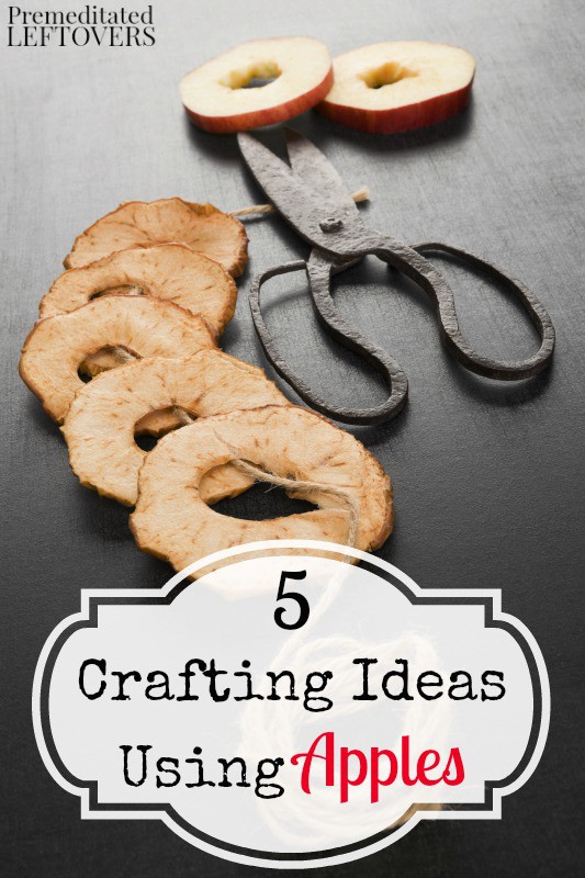 5 Crafting Ideas Using Apples- Crafting with apples can be easy and fun, you just need a little inspiration. Try these 5 simple apple crafts this season. 