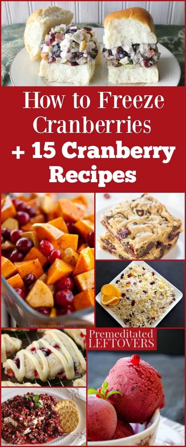 Check out these delicious cranberry recipes, including salads, desserts, and side dishes. You will also learn how to freeze cranberries to enjoy all year.