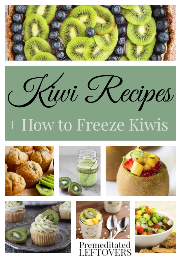 Delicious Kiwi Recipes- Learn how to freeze kiwis for later use. You'll find plenty of inspiration with these kiwi appetizer, snack, and breakfast recipes.