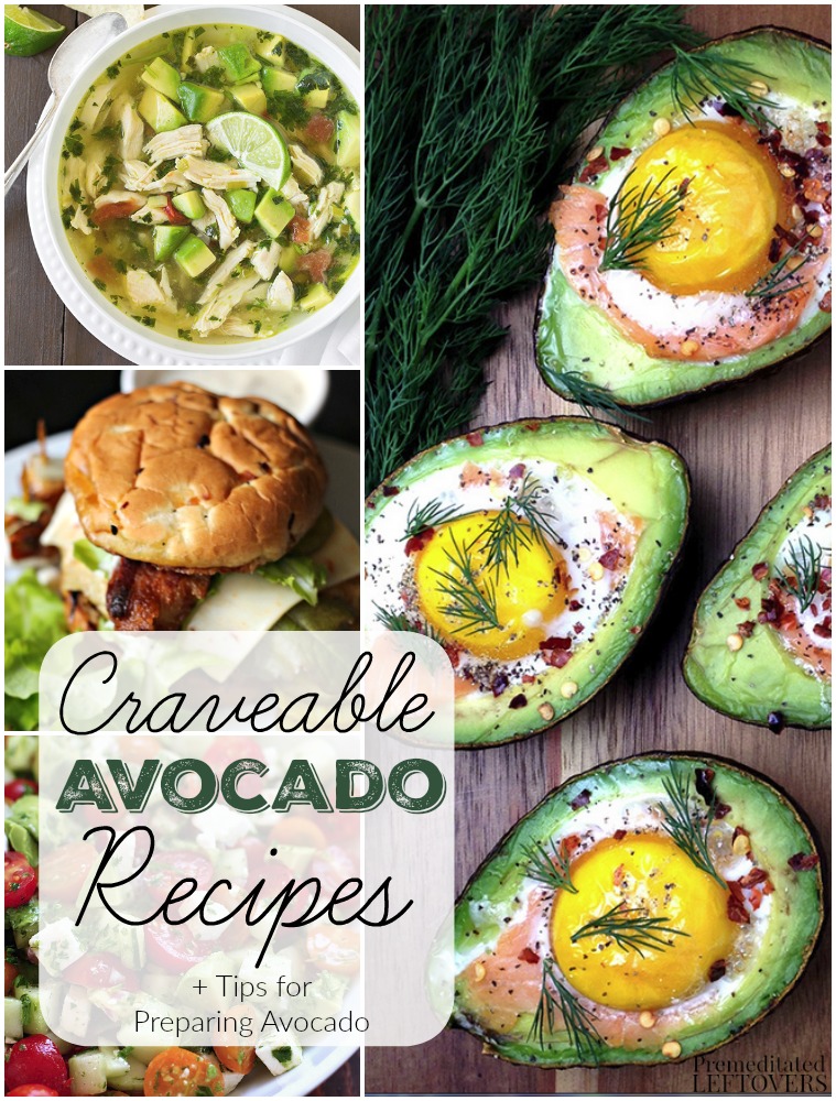 Craveable Avocado Recipes- Looking for new ways to enjoy avocados? Check out these recipes for avocado salads, avocado soups, and even avocado brownies!