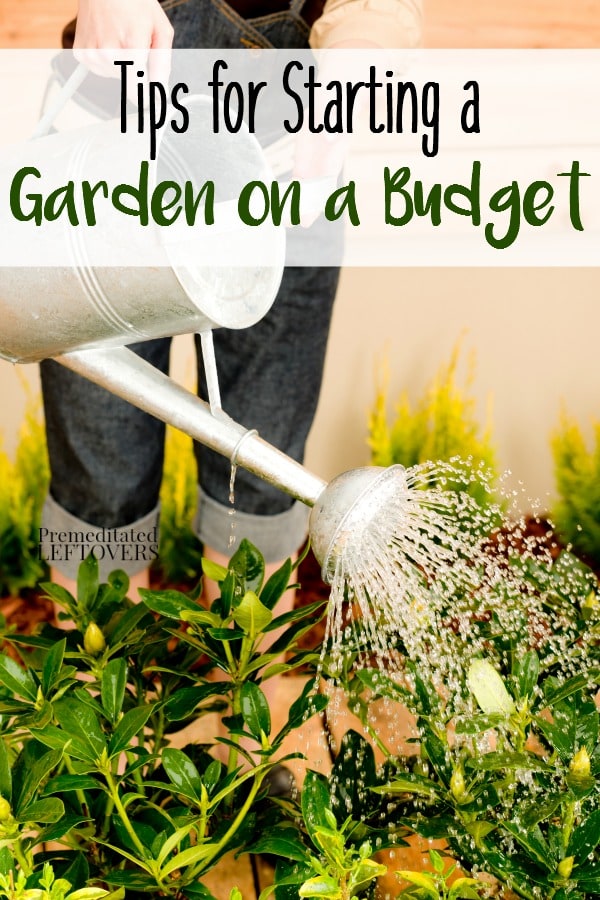 Frugal Gardening Tips: How to Start a Garden on a Budget- You can start growing your own garden without a lot of money. These frugal tips will show you how.