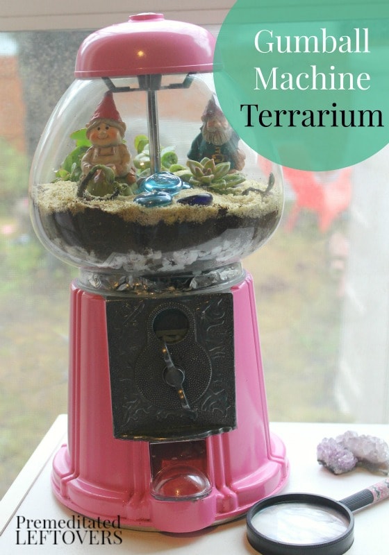 Upcycled Gumball Machine Terrarium- Repurpose an old gumball machine by turning it into a terrarium. Your plants will have a safe and decorative home!