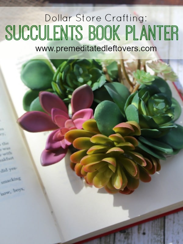 DIY Succulents Book Planter- This book planter costs little to make and nothing to maintain. It's such a simple and darling way to add plants to your home.
