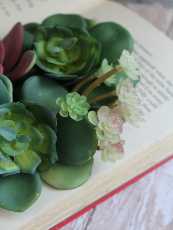 DIY Succulents Book Planter-insert plant