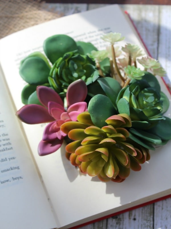 DIY Succulents Book Planter- final