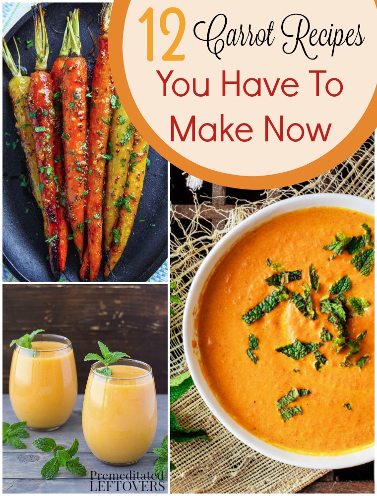 12 Great Carrot Recipes- Looking for new ways to enjoy carrots? Check out these carrot recipes and some tips for storing them so they stay crunchy!
